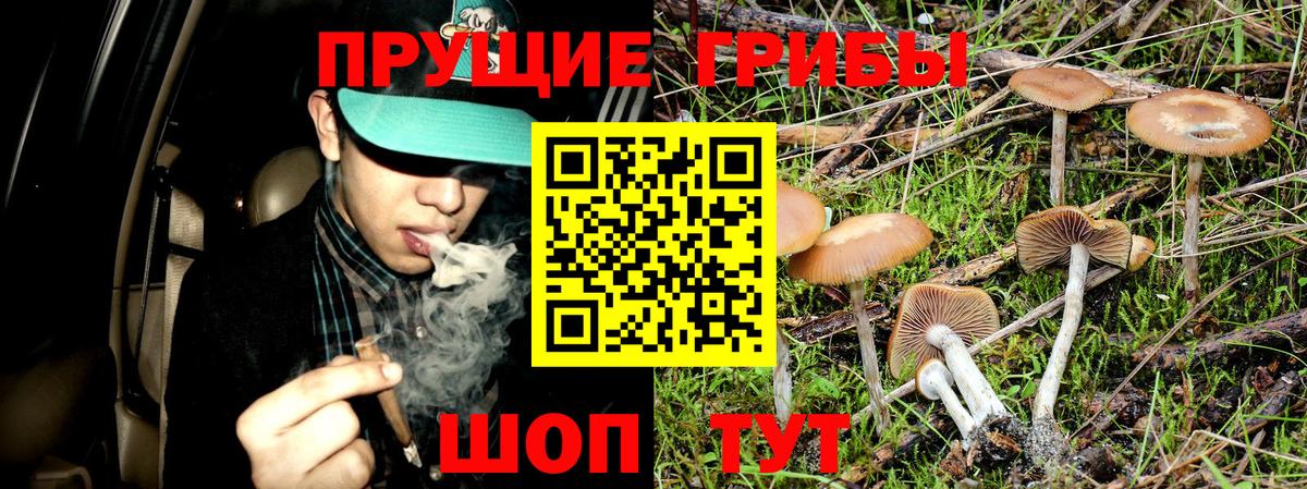 купить наркотик  Галлюциногенные грибы MAGIC MUSHROOMS  Вход с VPN  Октябрьский  Галлюциногенные грибы Magic Shrooms 